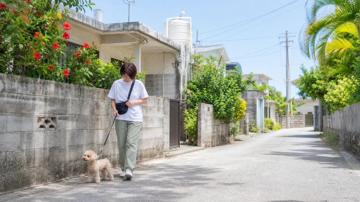 亜熱帯の島の明るい通り。屋上に貯水タンクのある低層住宅とハイビスカス、日陰側を犬と歩く人